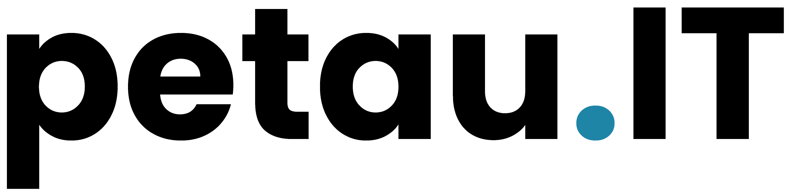 Petau-IT EDV-Service, Softwareentwicklung, Webdesign - Waibstadt